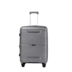 Valise de cabine