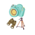 cat apn accessoire webp 350x