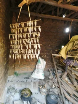 Maison Ougandaise Ouganda 7 Cuisine Ouganda, poisson séchés