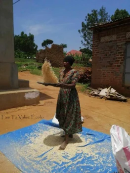 Maison Ougandaise Ouganda 9 Saku aère le maïs