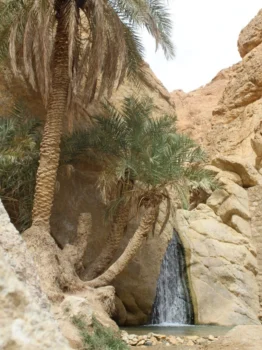 Chebika Tunisie 8 Cascade à Chebika en Tunisise