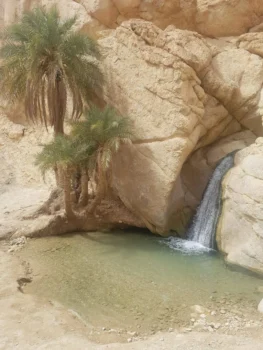 Chebika Tunisie 9 Chebika
