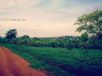 Kimwanyi village ougandais 6 Paysage Kimwanyi Ouganda
