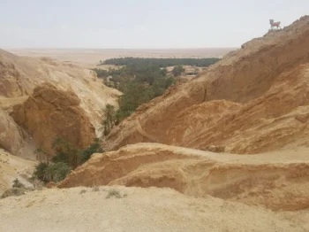 Chebika Tunisie 12 Vallée de Chebika en Tunisise